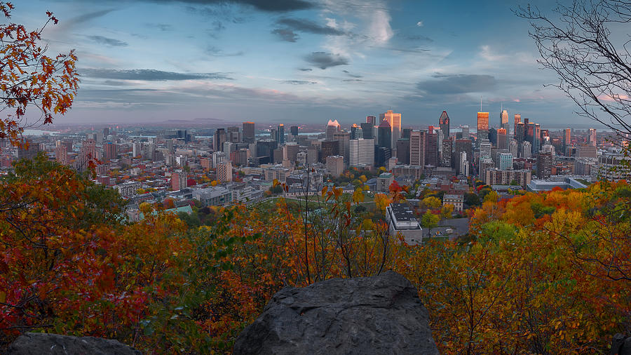 Montreal_skyline_automn_view_16X9_DRI Photograph by Jean Surprenant