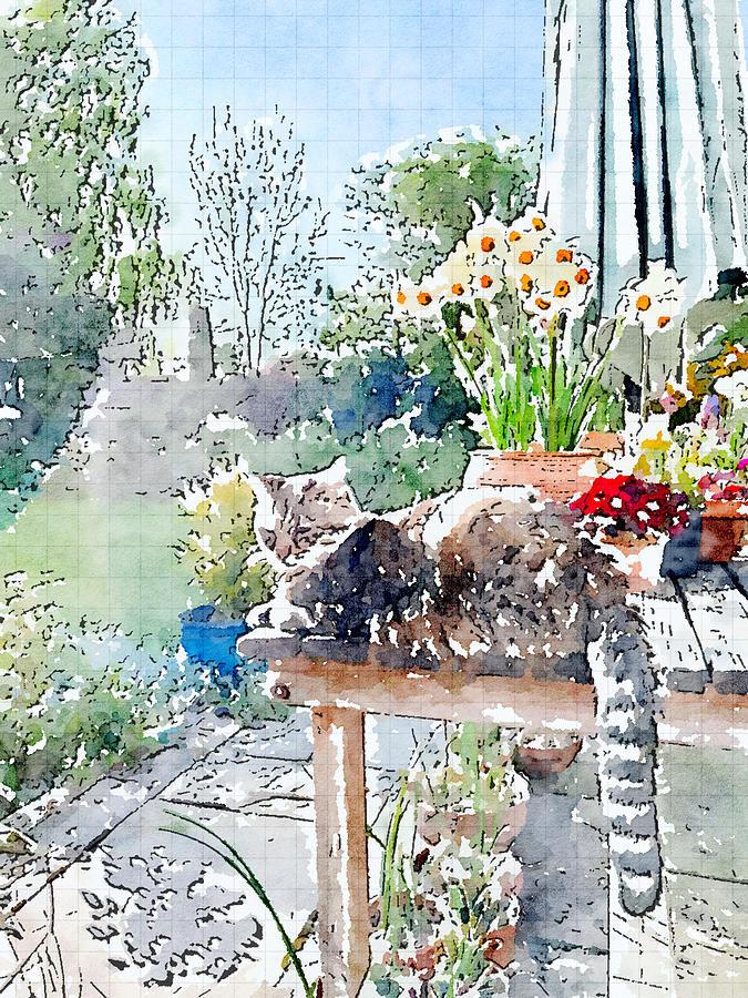 Spring Digital Art - Monty Cat Spring by Mo Barton