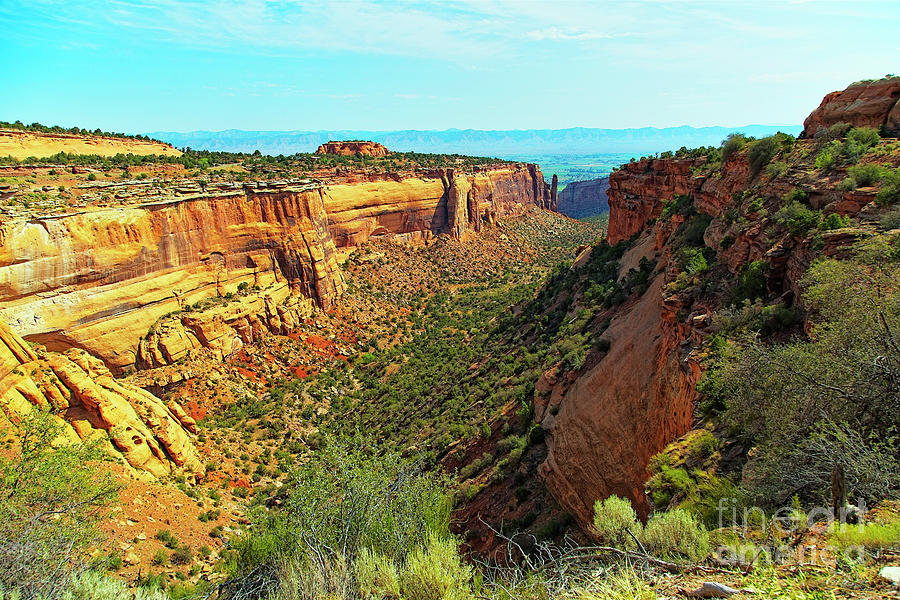 Monument Canyon and Saddlehorn Photograph by Jon Burch Photography