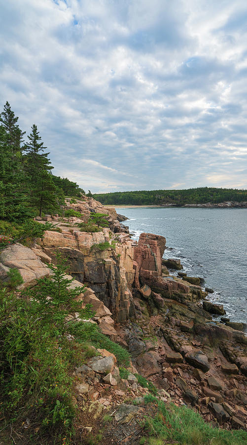 Monument Cove Photograph by Angie Purcell