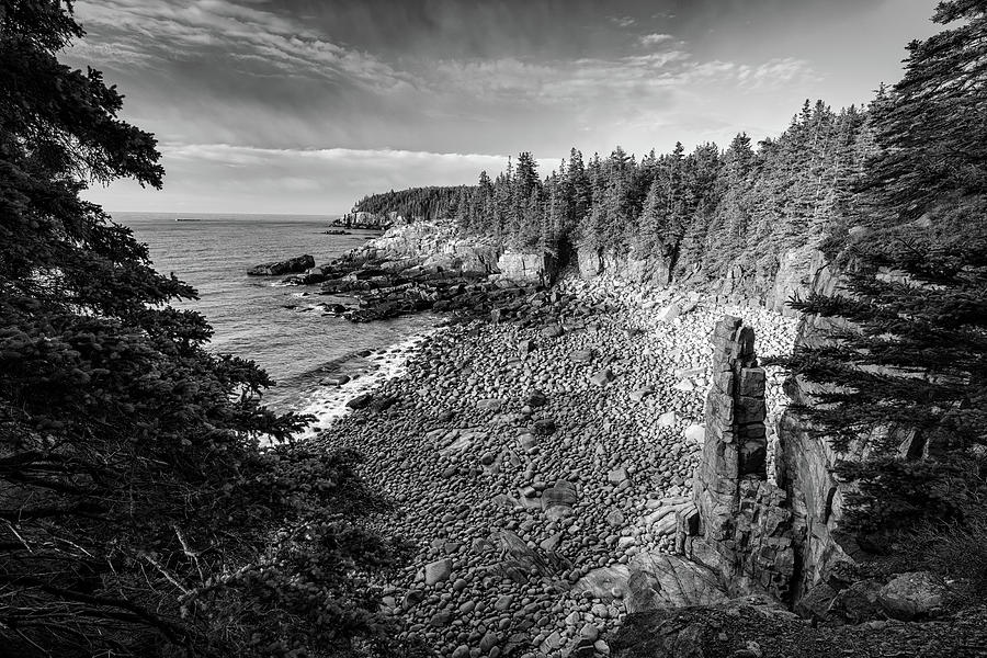 Nature Photograph - Monument Cove Morning Black and White by Rick Berk