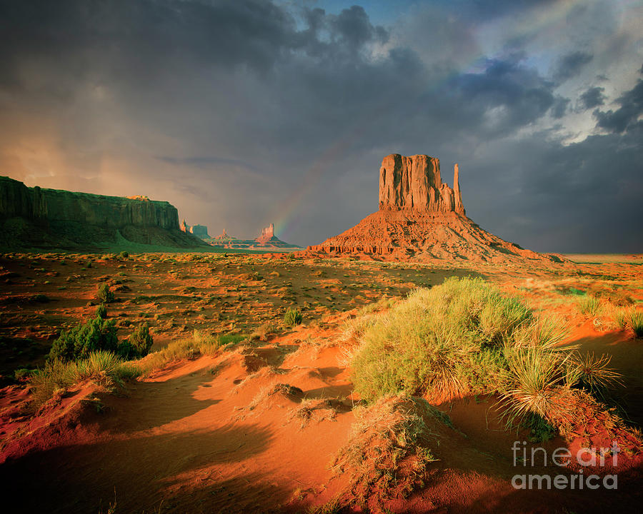 Monument Valley View Photograph by Edmund Nagele FRPS