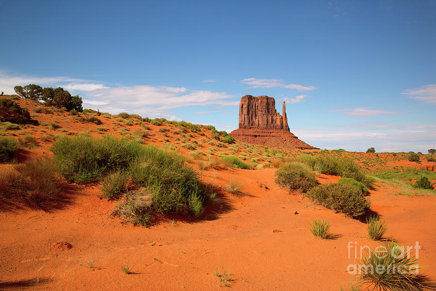 Monument Valley 8 Photograph by Felix Lai