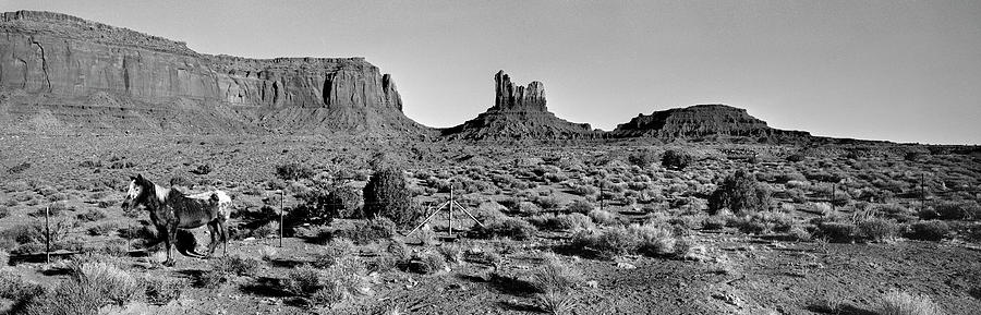 Monument Valley Horse Black and White Photograph by Sonny Ryse