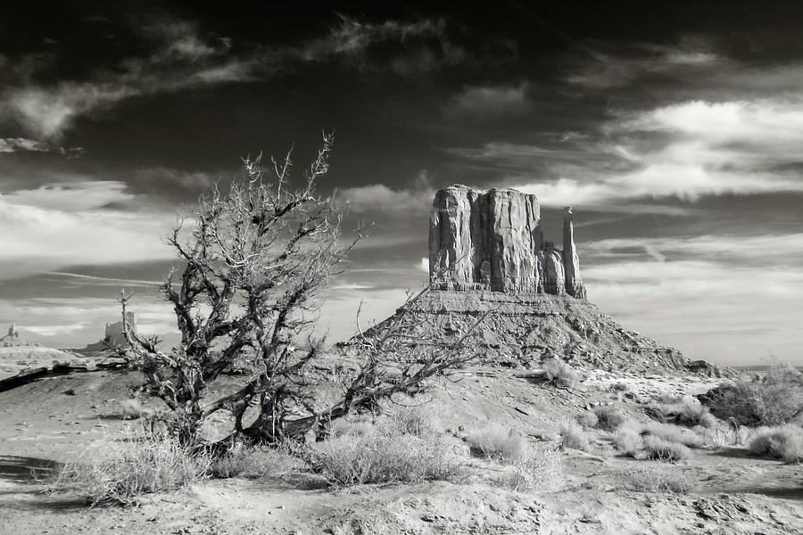 Monument Valley Infrared Photograph by Liza Eckardt