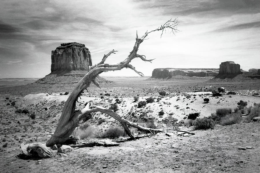 Monument Valley, Utah Photograph by Jerry Griffin
