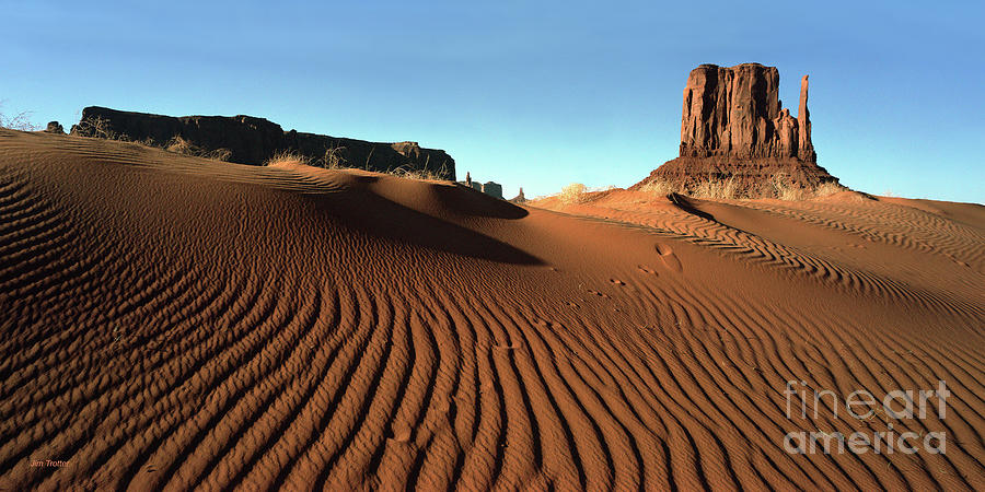 Monument Valley Photograph by Jim Trotter