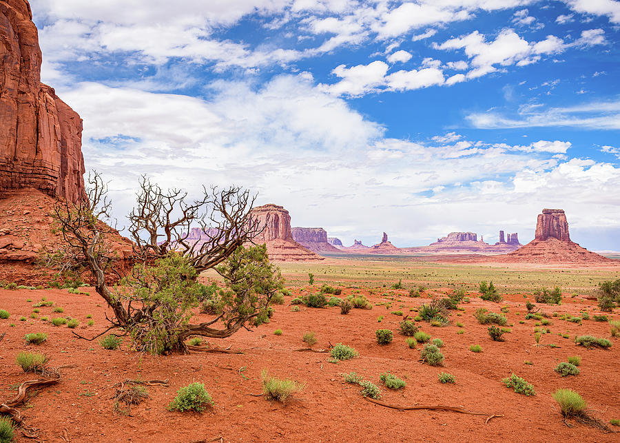 Monument Valley National Monument Photograph - Monument Valley by Marla Brown