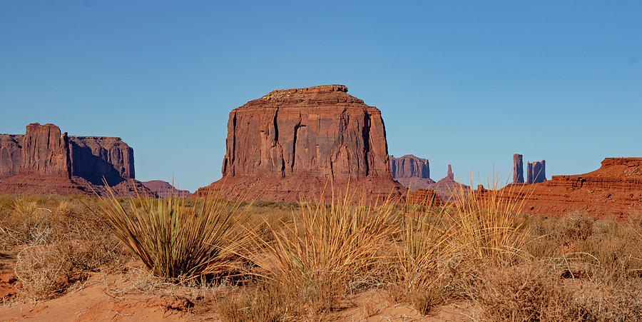 Monument Valley Vista Photograph by Mindy Musick King