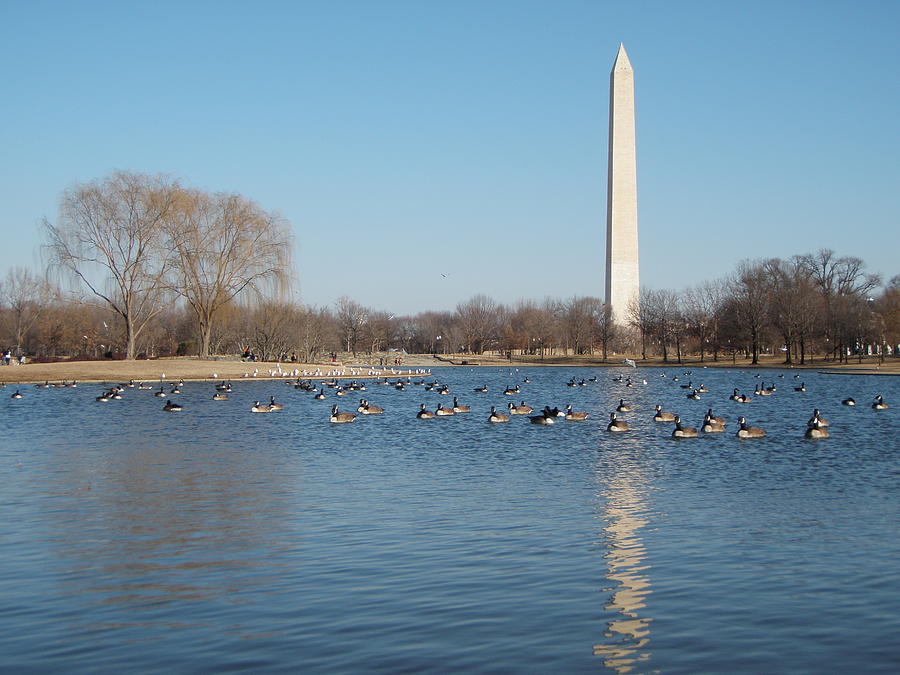 Monumental Geese Photograph by Tara Krauss