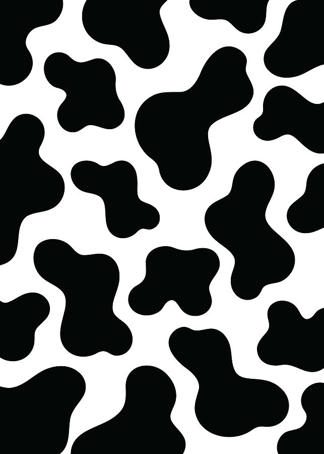 forhøjet mål Reproducere Moo Moo Cow Digital Art by Riyad Sbitan - Pixels