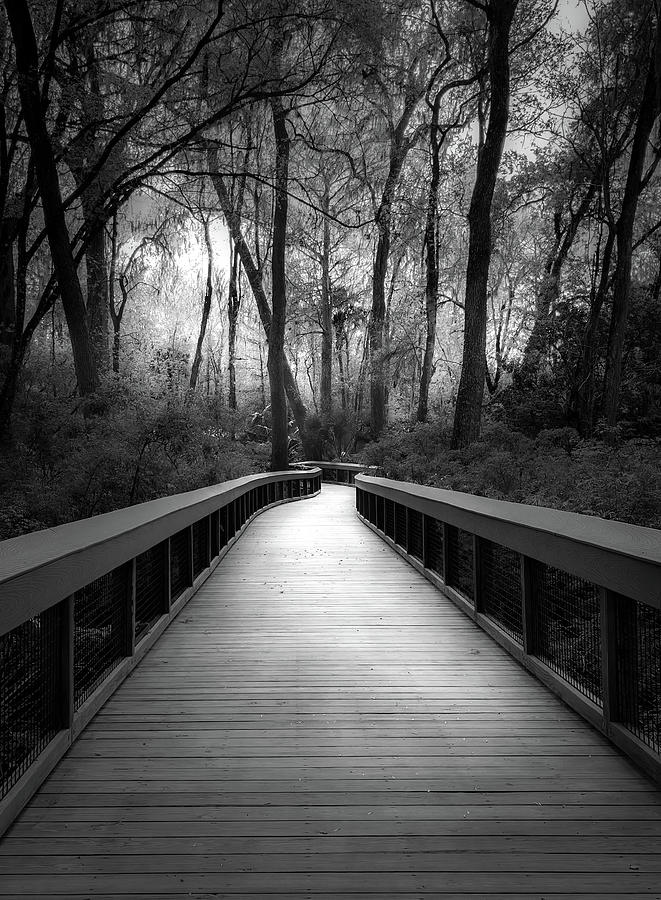 Moody and Mysterious Florida Boardwalk in Black and White Photograph by Rebecca Herranen