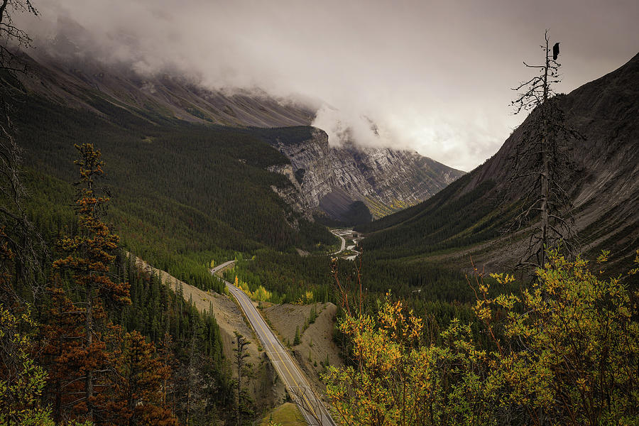 Moody Autumn Scene Icefields Parkway Photograph by Dan Sproul