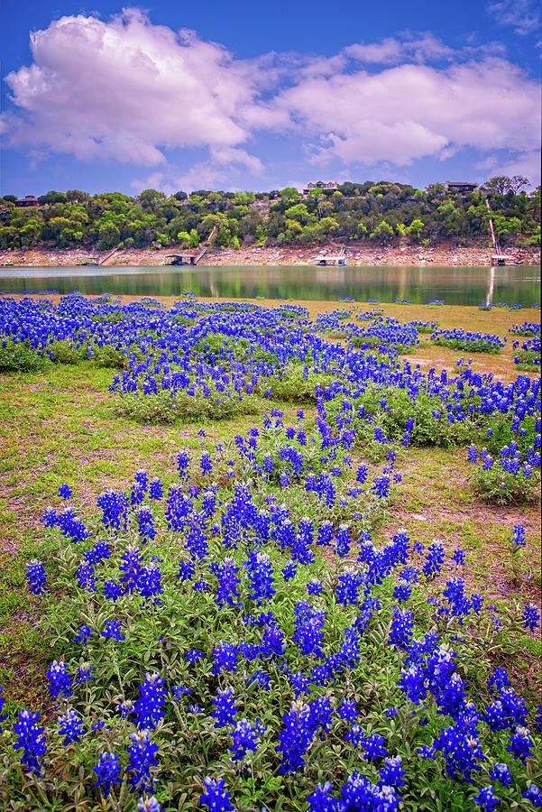 Moody Blues of Muleshoe Bend Photograph by Lynn Bauer