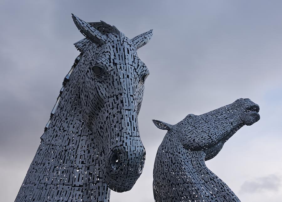 Moody Broody Kelpies Photograph by Stephen Taylor