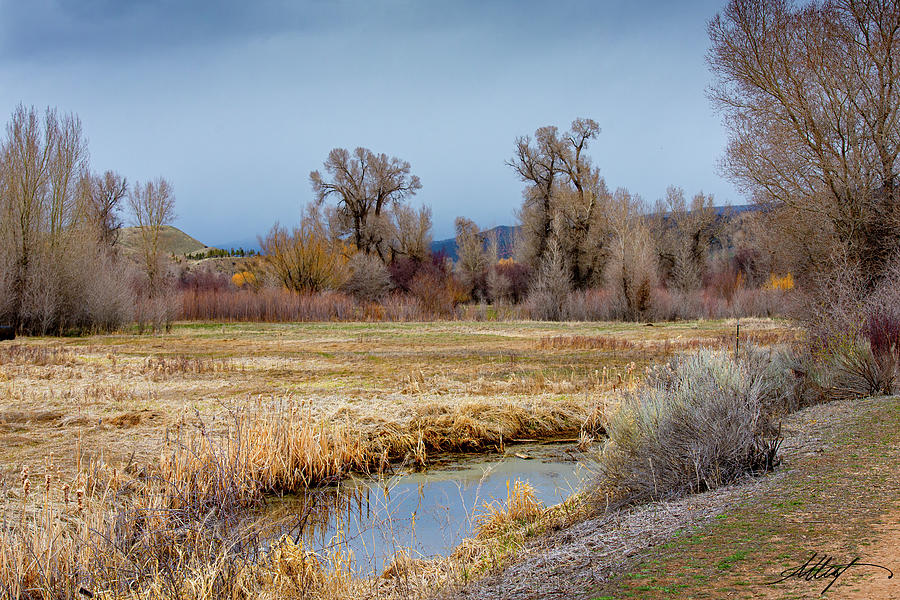 Moody Day on a Rail Trail Photograph by Meg Leaf - Fine Art America