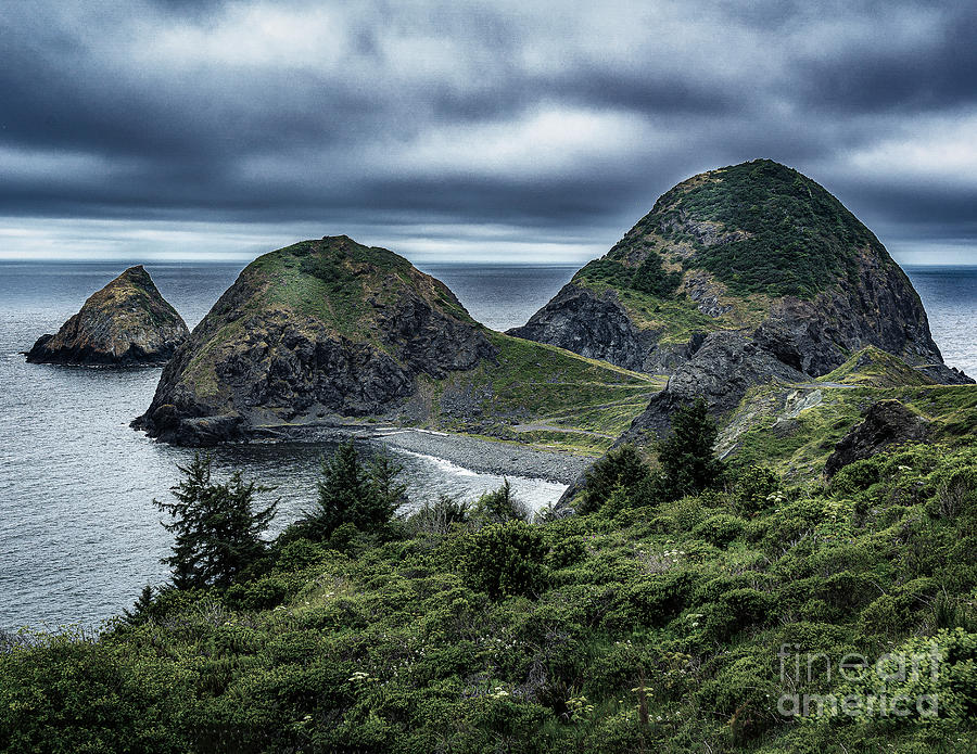 Moody Day on the Oregon Coast Photograph by Nick Zelinsky Jr