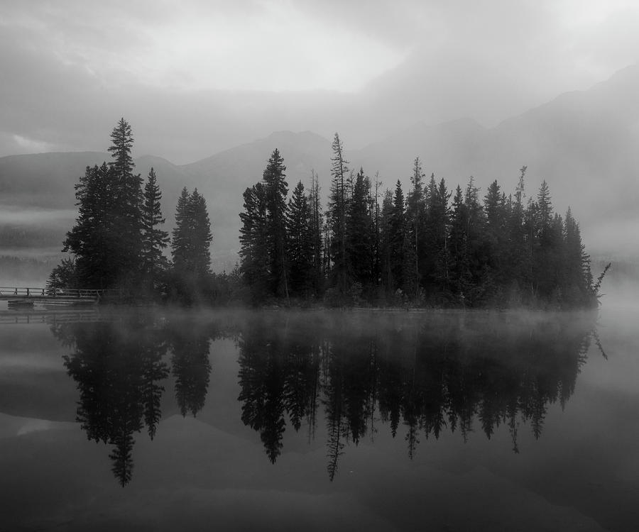 Moody Forest Reflection Black And White Photograph by Dan Sproul