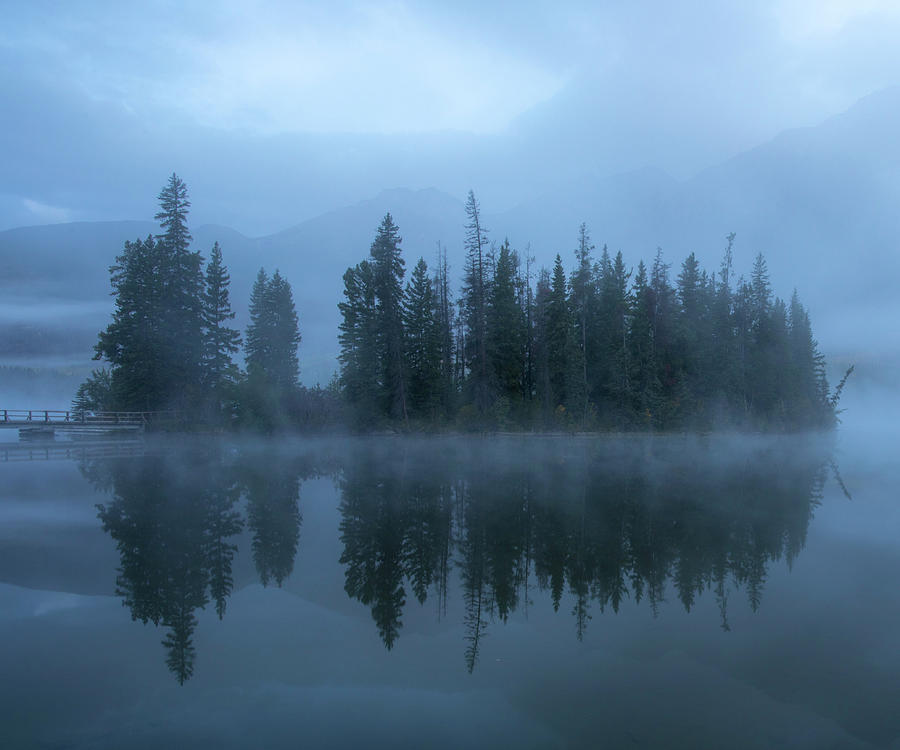 Moody Forest Reflection Pyramid Lake Photograph by Dan Sproul