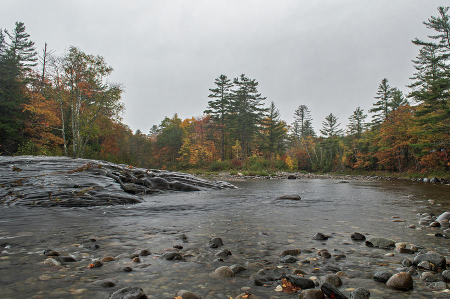 Moody Maine Photograph by Scott Miller - Fine Art America