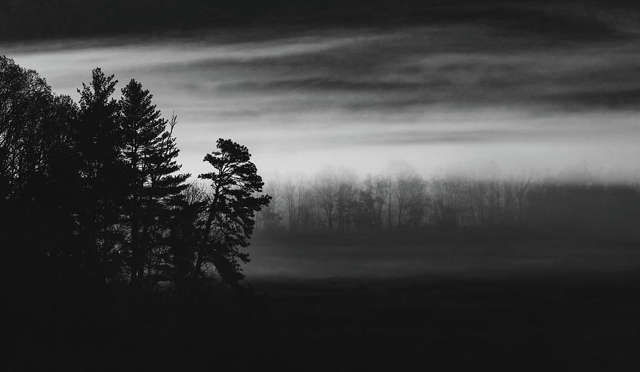 Moody Monochrome Morning In Cades Cove Photograph by Dan Sproul