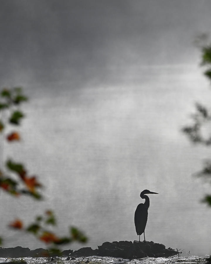 Moody Morning Photograph by Adventureclicks Photography - Fine Art America