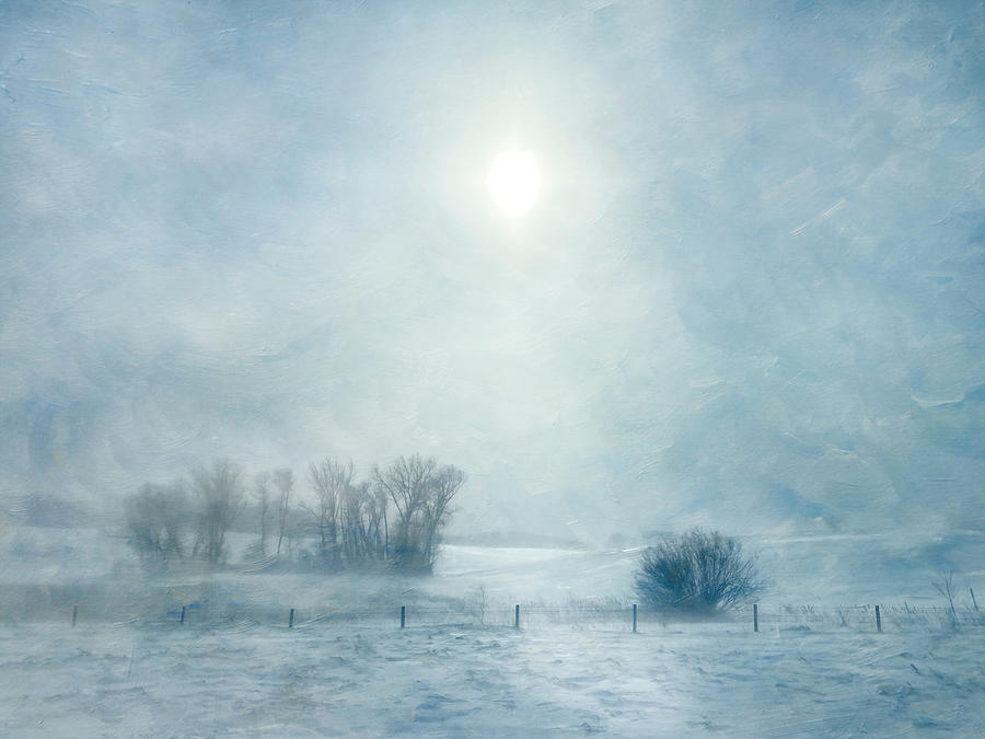 Moody Rural Winter Scene - Blue Texture Photograph by Patti Deters