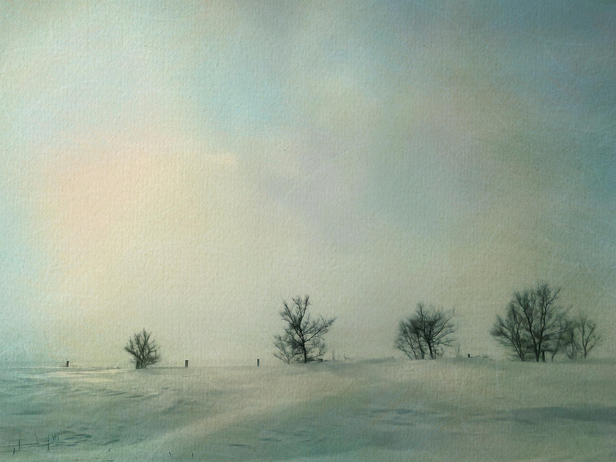 Moody Rural Winter Scene - Drifting Snow Photograph by Patti Deters