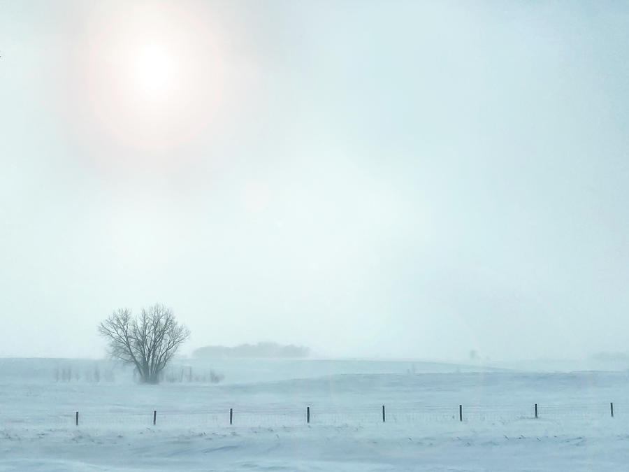Moody Rural Winter Scene - Foggy Field Photograph by Patti Deters