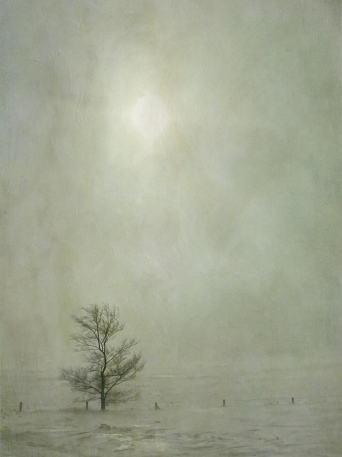Moody Rural Winter Scene - Solitary Tree Photograph by Patti Deters