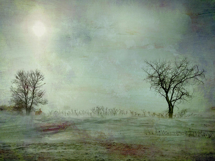 Moody Rural Winter Scene - Two Trees Texture Photograph by Patti Deters