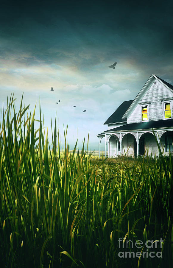 Moody scene of old farmhouse in tall grass Photograph by Sandra Cunningham