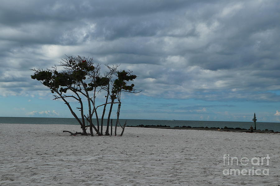 Nature Photograph - Moody Sky Over Honeymoon Island by Christiane Schulze Art And Photography