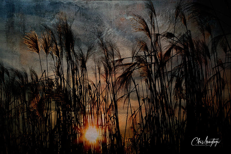 Moody Sunset on the Lake Digital Art by Chris Armytage