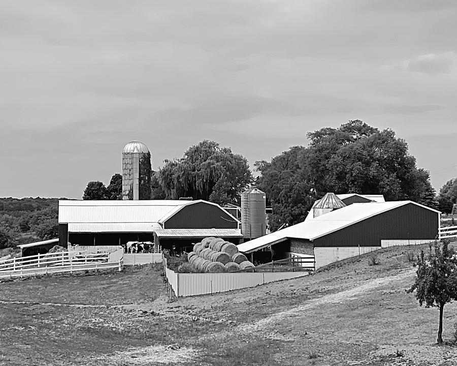 Moomers Farm BW Photograph by Lee Darnell