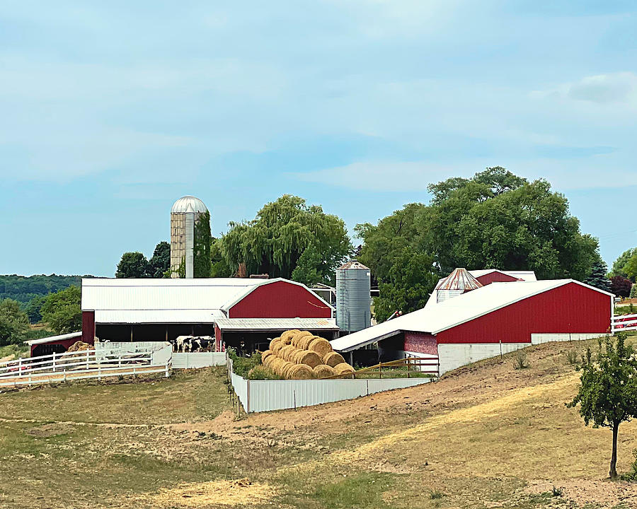Moomers Farm Photograph by Lee Darnell