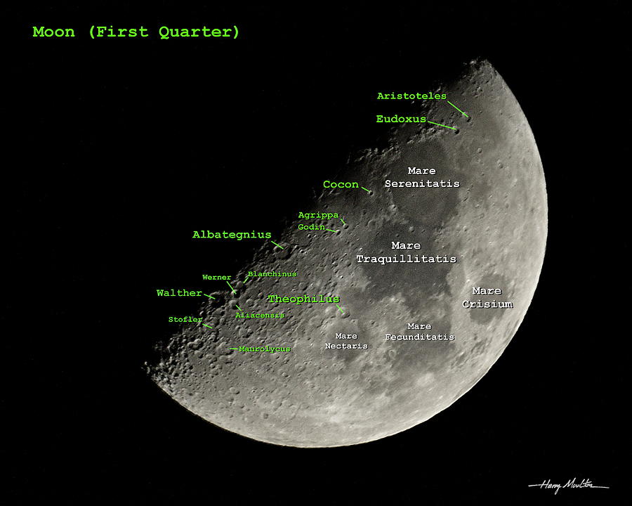 Moon 1st Quarter Photograph by Harry Moulton | Pixels