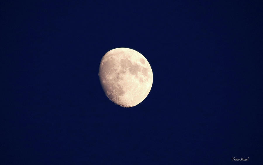 Moon 2021 Photograph by Trina Ansel