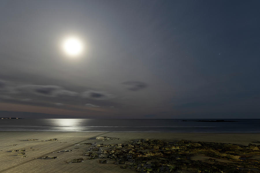 Moon and Beach  Photograph by Catherine Grassello
