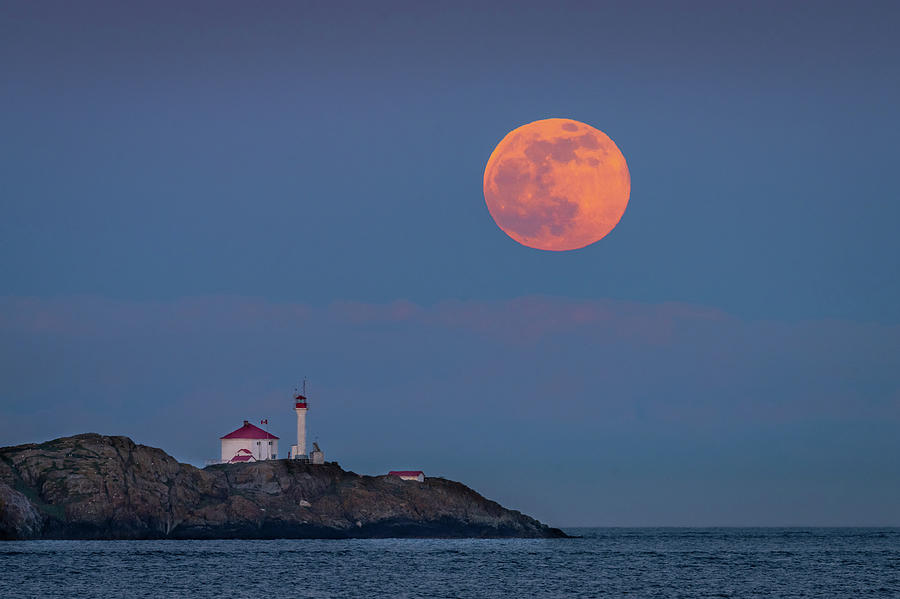 Strawberry Moon and Lighthouse Photograph by Bill Cubitt