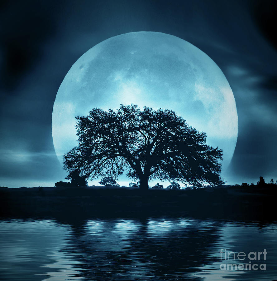 Moon and Oak Tree Surreal Photograph by Stephanie Laird