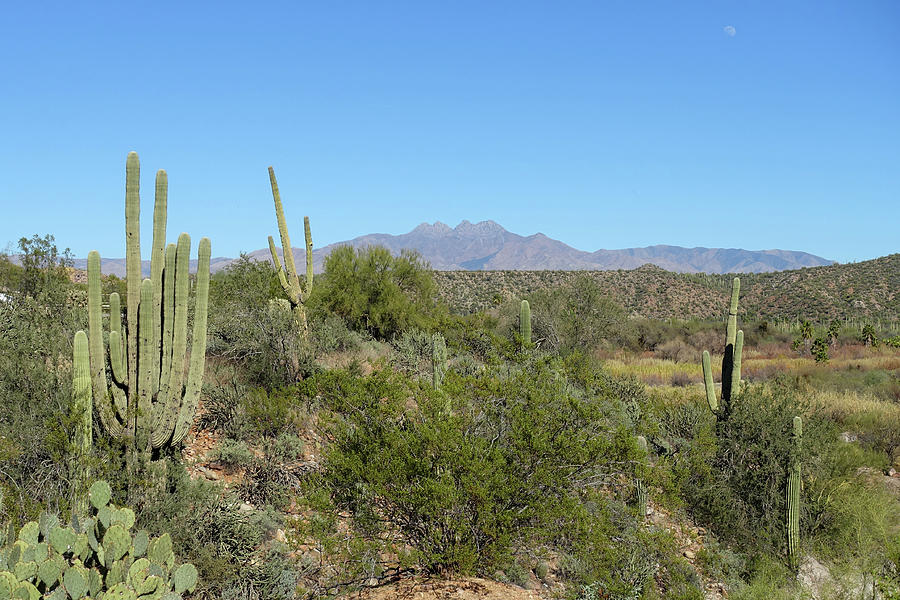 Moon And The Four Peaks Photograph