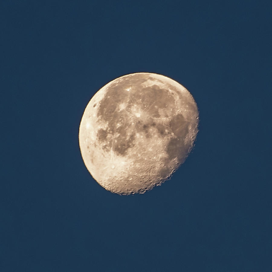 Moon at Dawn Photograph by Jim Allsopp - Fine Art America