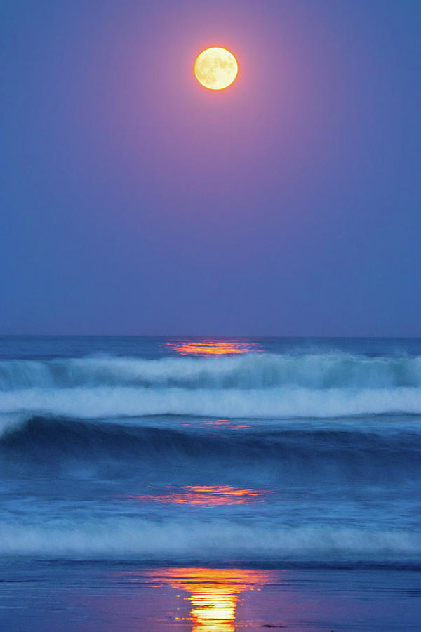 Moon Beams and Beach Dreams Photograph by Jennifer Egan | Fine Art America