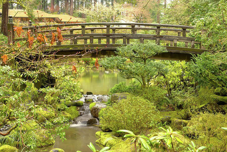 Moon Bridge Falls in the Fall Photograph by David Barker - Fine Art America