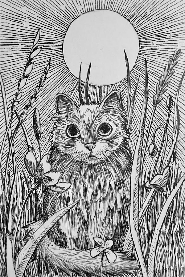 Moon cat Drawing by Don Morgan