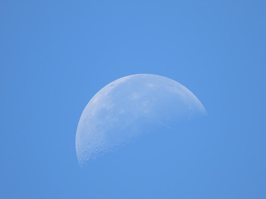 Moon Closeup 2 Photograph by Charlotte Schafer
