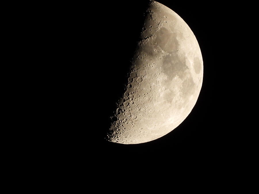 Moon Closeup Photograph by Charlotte Schafer