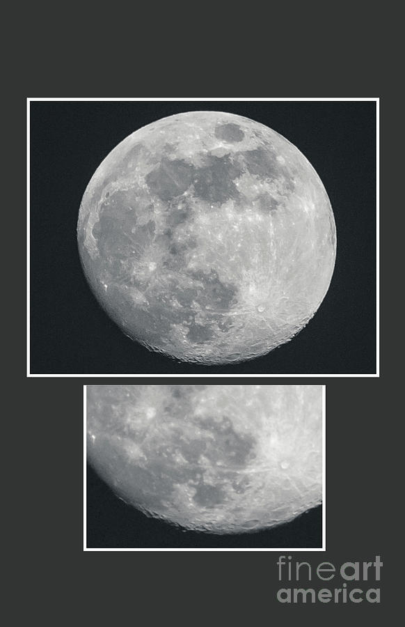 Moon Collage Photograph by Darrell Foster