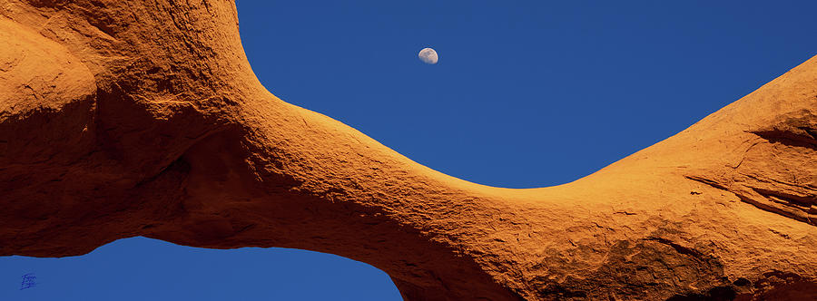 Moon Dance Photograph by Edgars Erglis